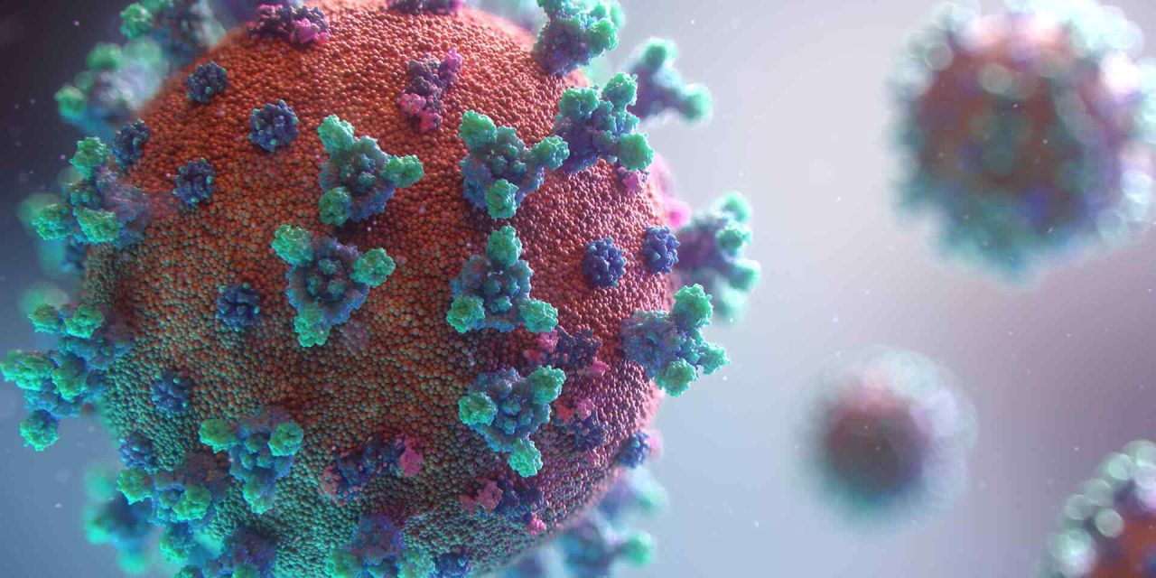 COVID-19 Survivors at Risk for Autoimmunity